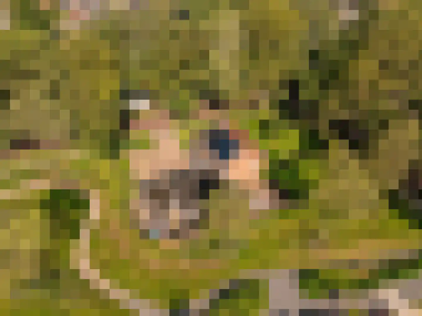Oosterweg 12 Zuidwolde thumbnail 7