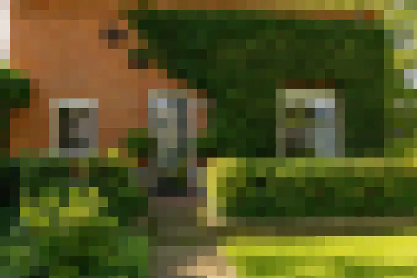 Oosterweg 12 Zuidwolde thumbnail 8