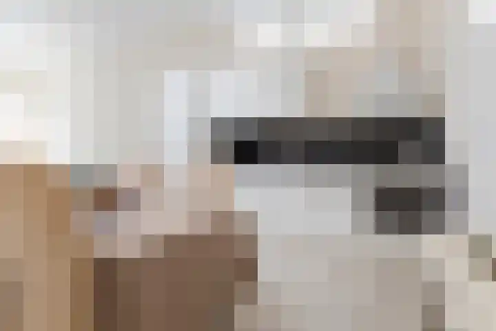 Oosterweg 15 Groningen thumbnail 19
