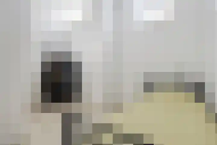 Oosterweg 15 Groningen thumbnail 33
