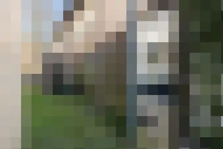 Oosterweg 15 Groningen thumbnail 39