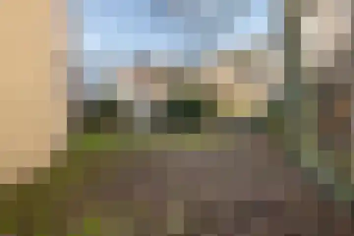 Oosterweg 15 Groningen thumbnail 40