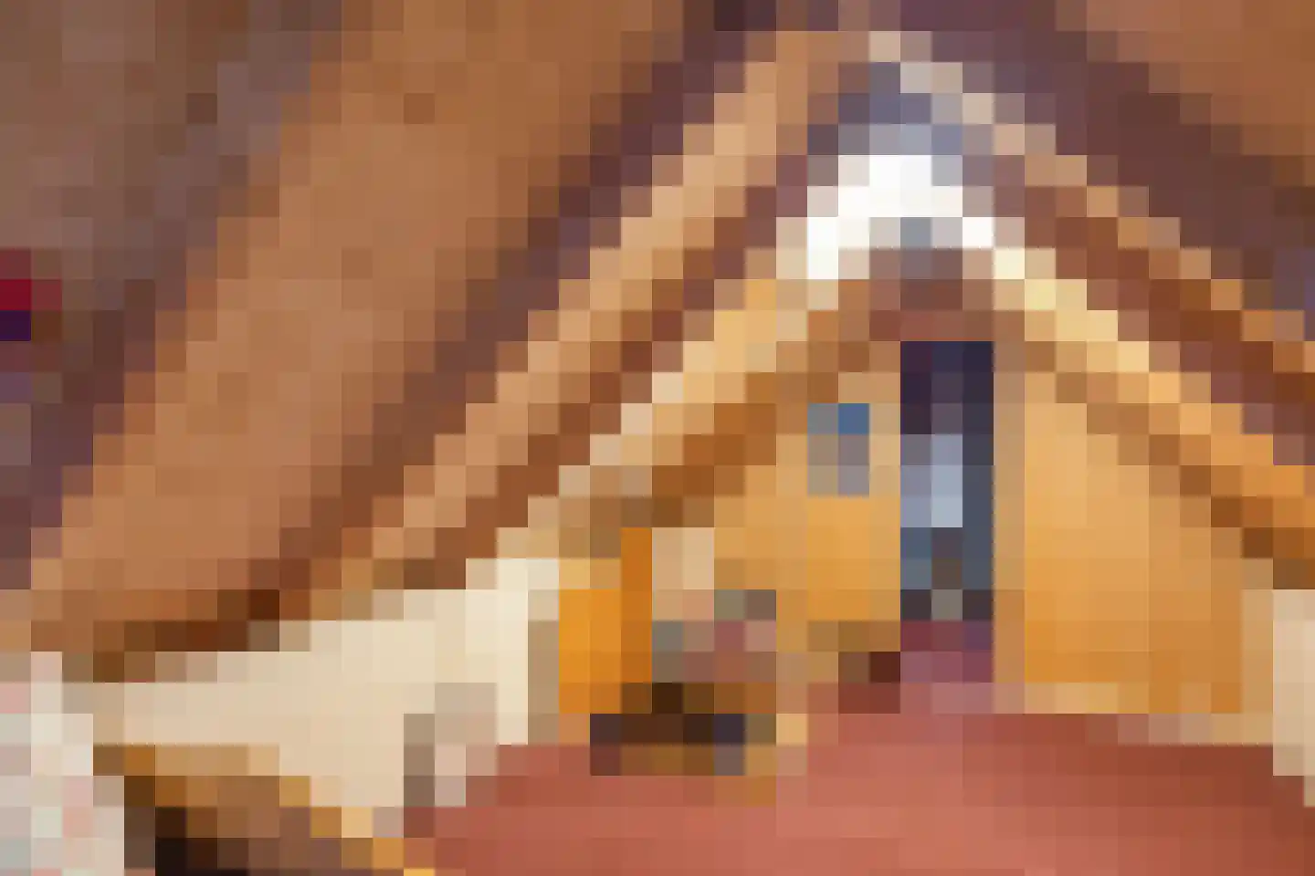 Oosterweg 16 Den Andel thumbnail 24