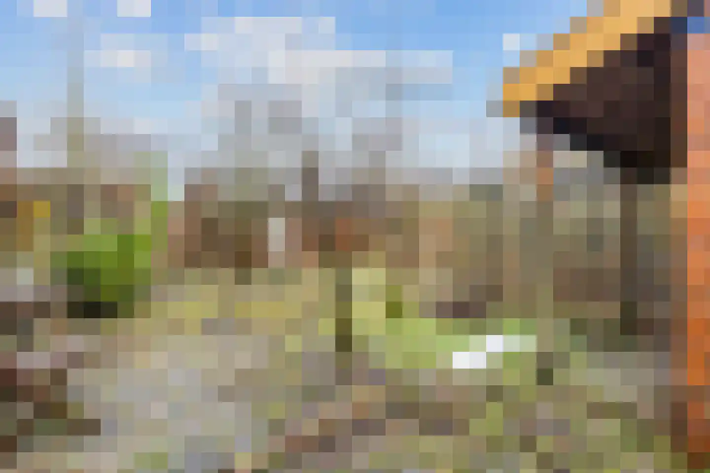 Oosterweg 16 Den Andel thumbnail 25