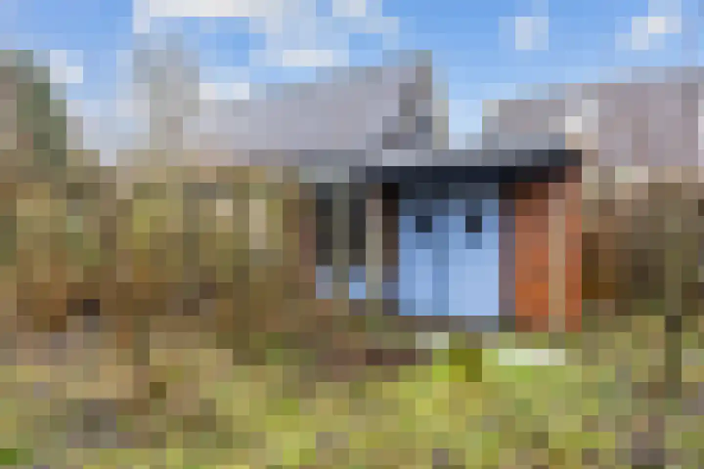 Oosterweg 16 Den Andel thumbnail 26