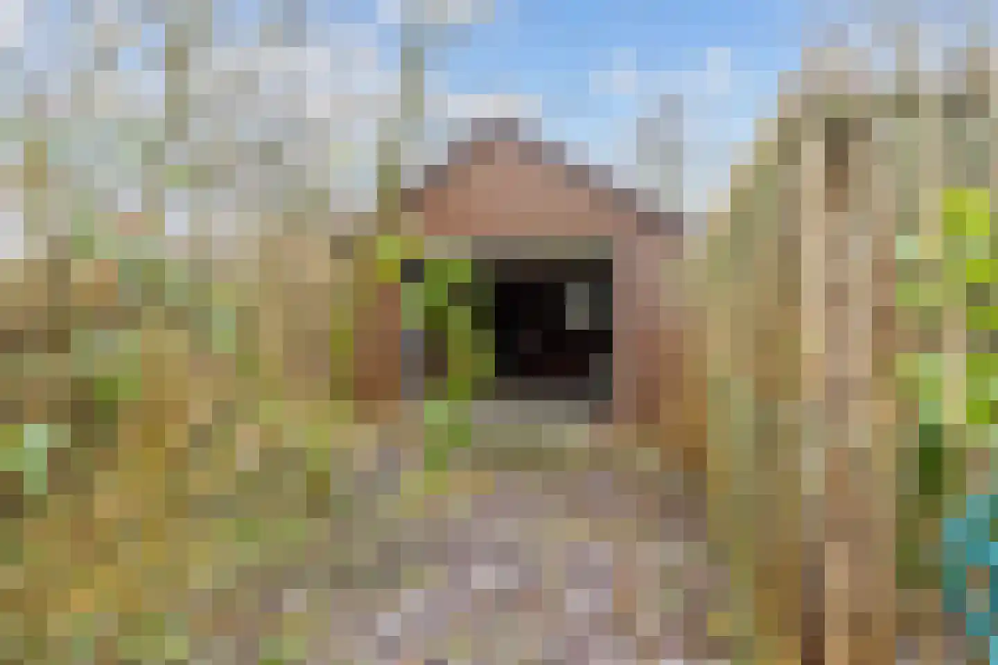 Oosterweg 16 Den Andel thumbnail 28
