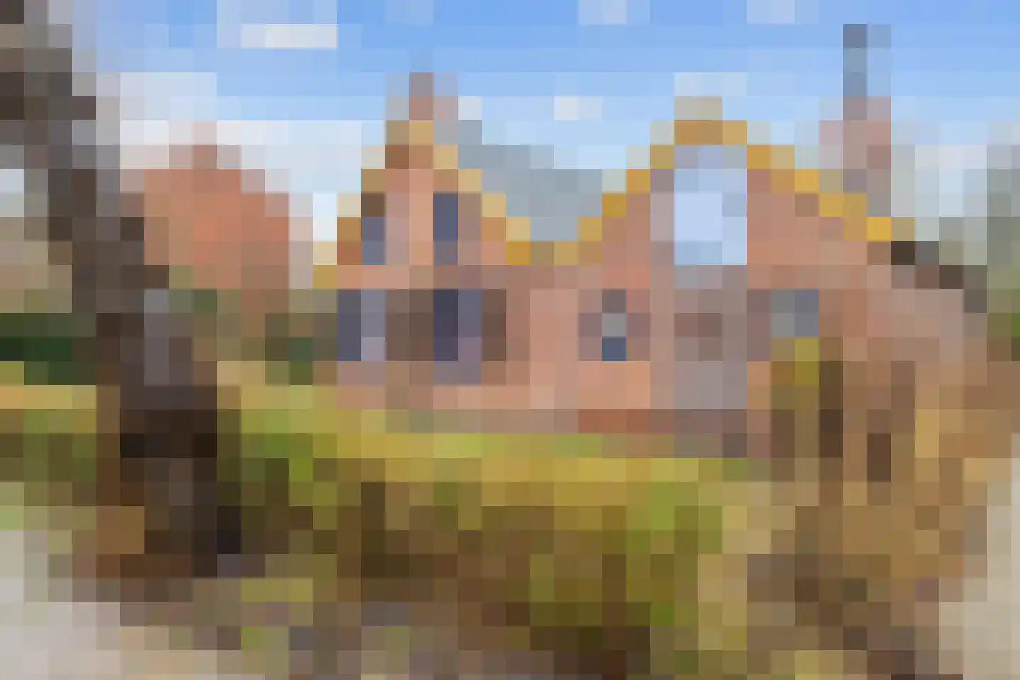 Oosterweg 16 Den Andel foto 3