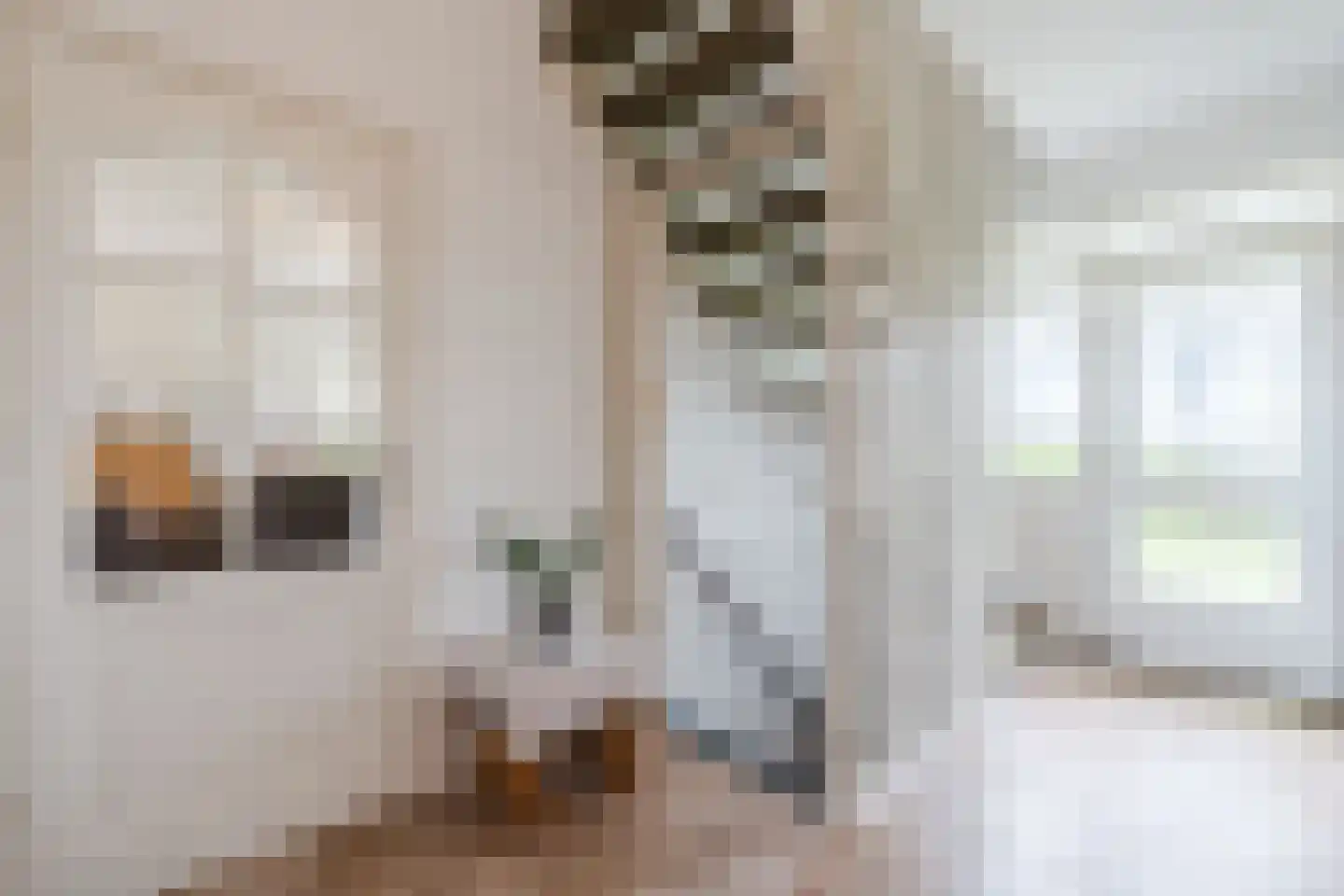 Oosterweg 17 Beerzerveld thumbnail 25