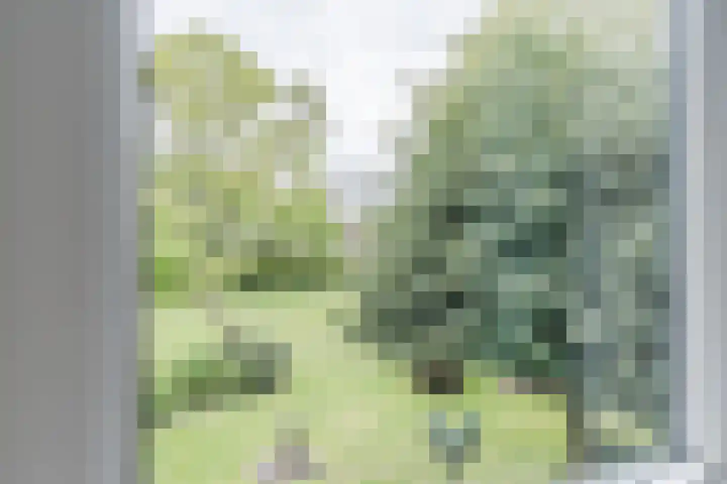 Oosterweg 17 Beerzerveld thumbnail 28