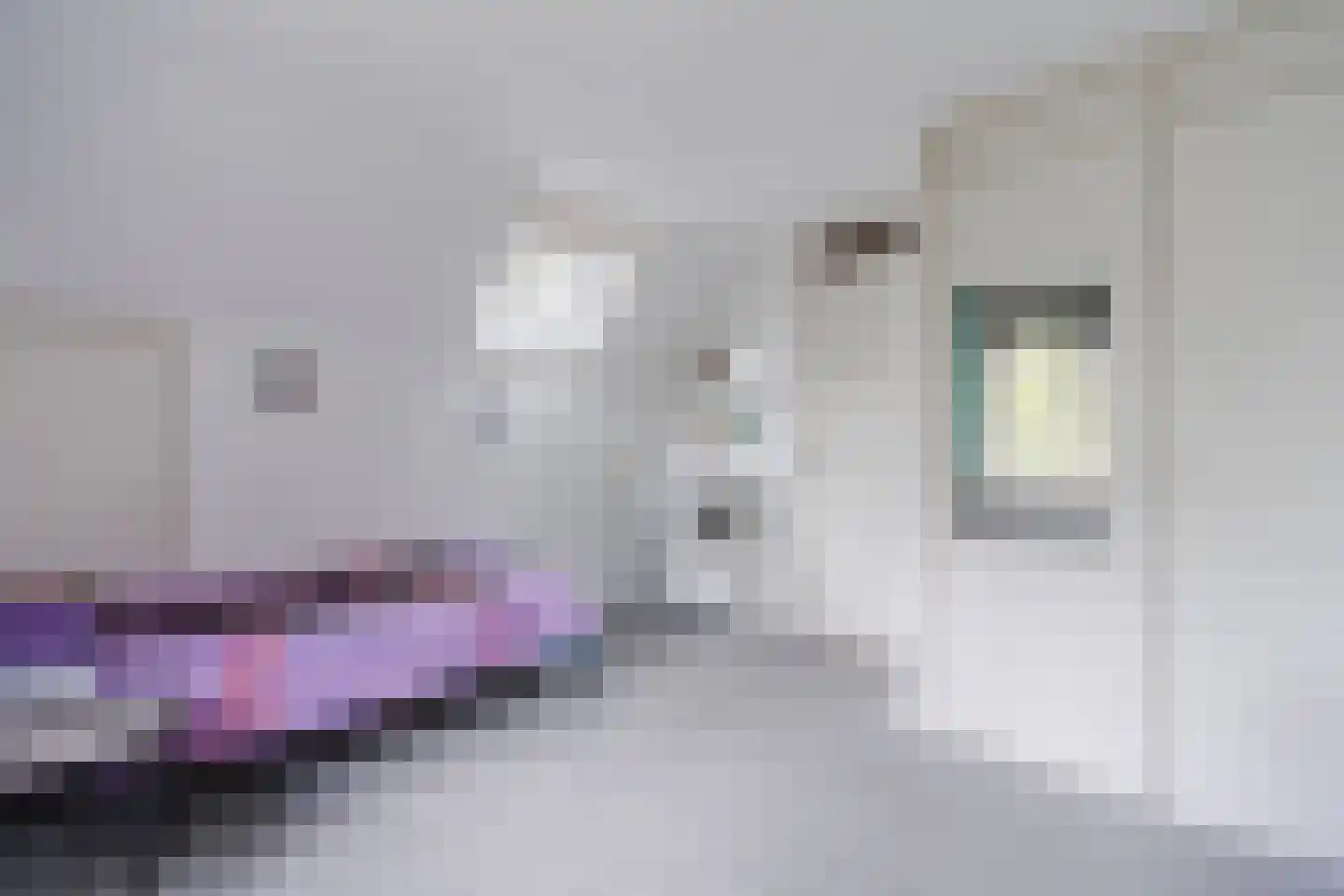 Oosterweg 17 Beerzerveld thumbnail 33