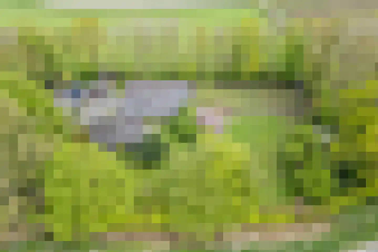 Oosterweg 17 Beerzerveld thumbnail 4