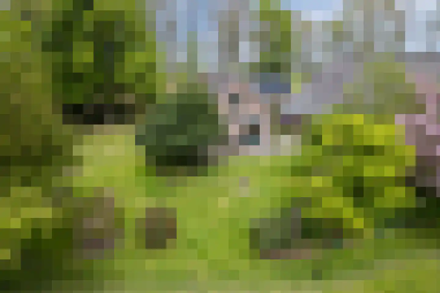 Oosterweg 17 Beerzerveld thumbnail 42
