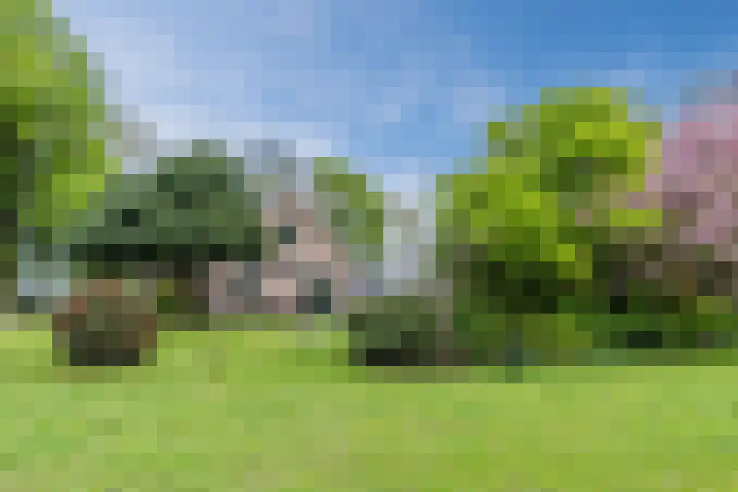 Oosterweg 17 Beerzerveld thumbnail 43