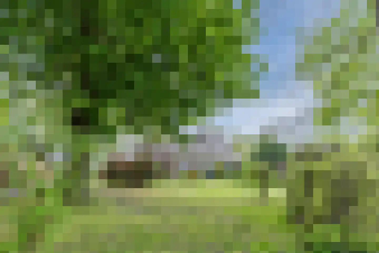 Oosterweg 17 Beerzerveld thumbnail 48