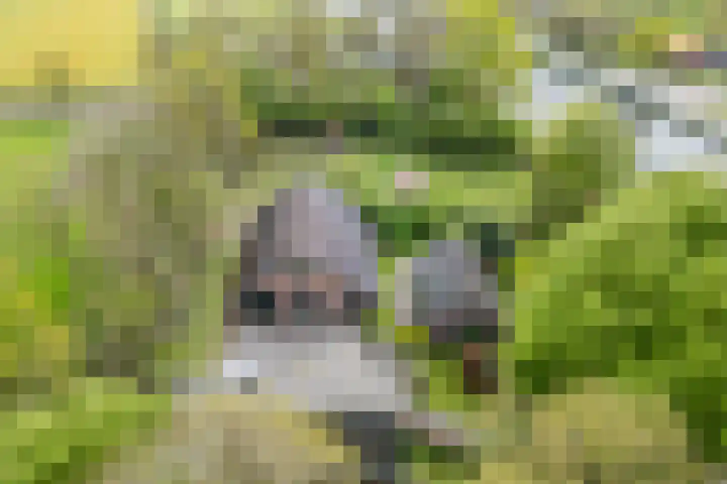 Oosterweg 17 Beerzerveld thumbnail 48