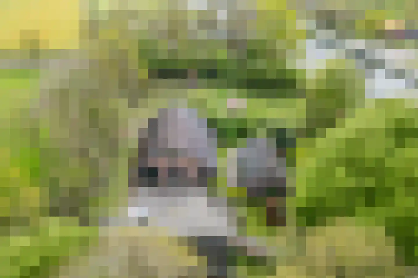 Oosterweg 17 Beerzerveld thumbnail 49