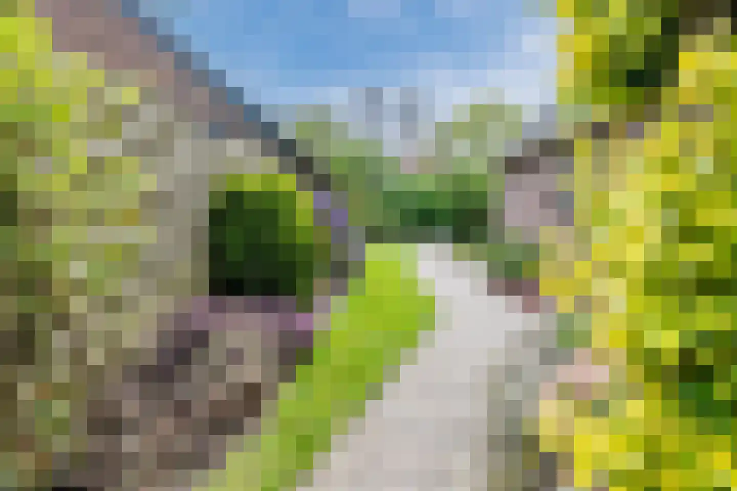 Oosterweg 17 Beerzerveld thumbnail 50