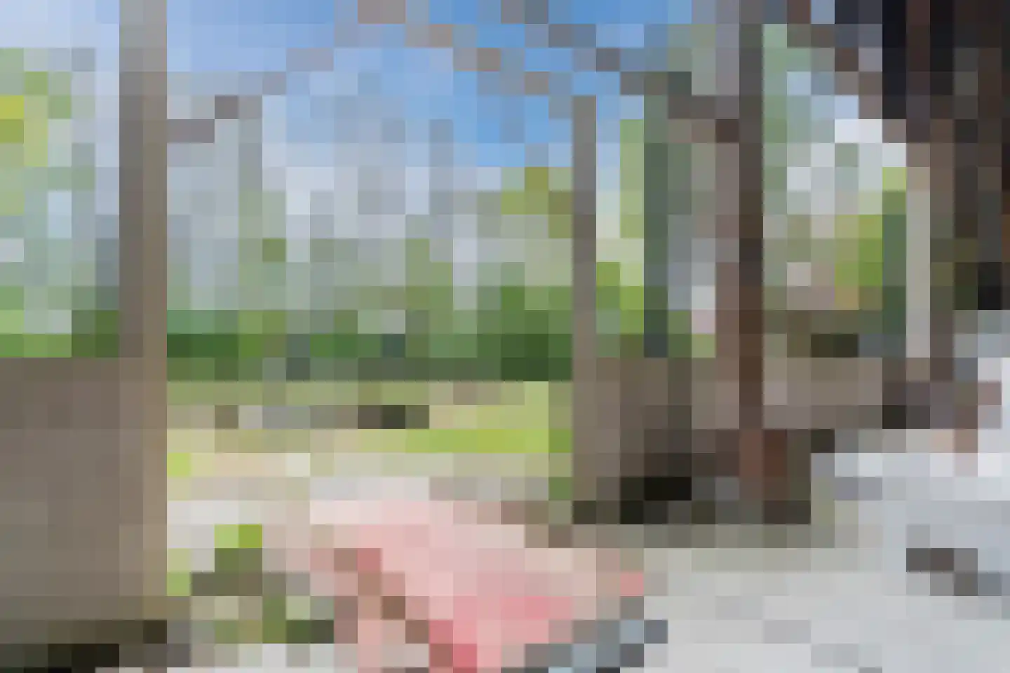 Oosterweg 17 Beerzerveld thumbnail 55