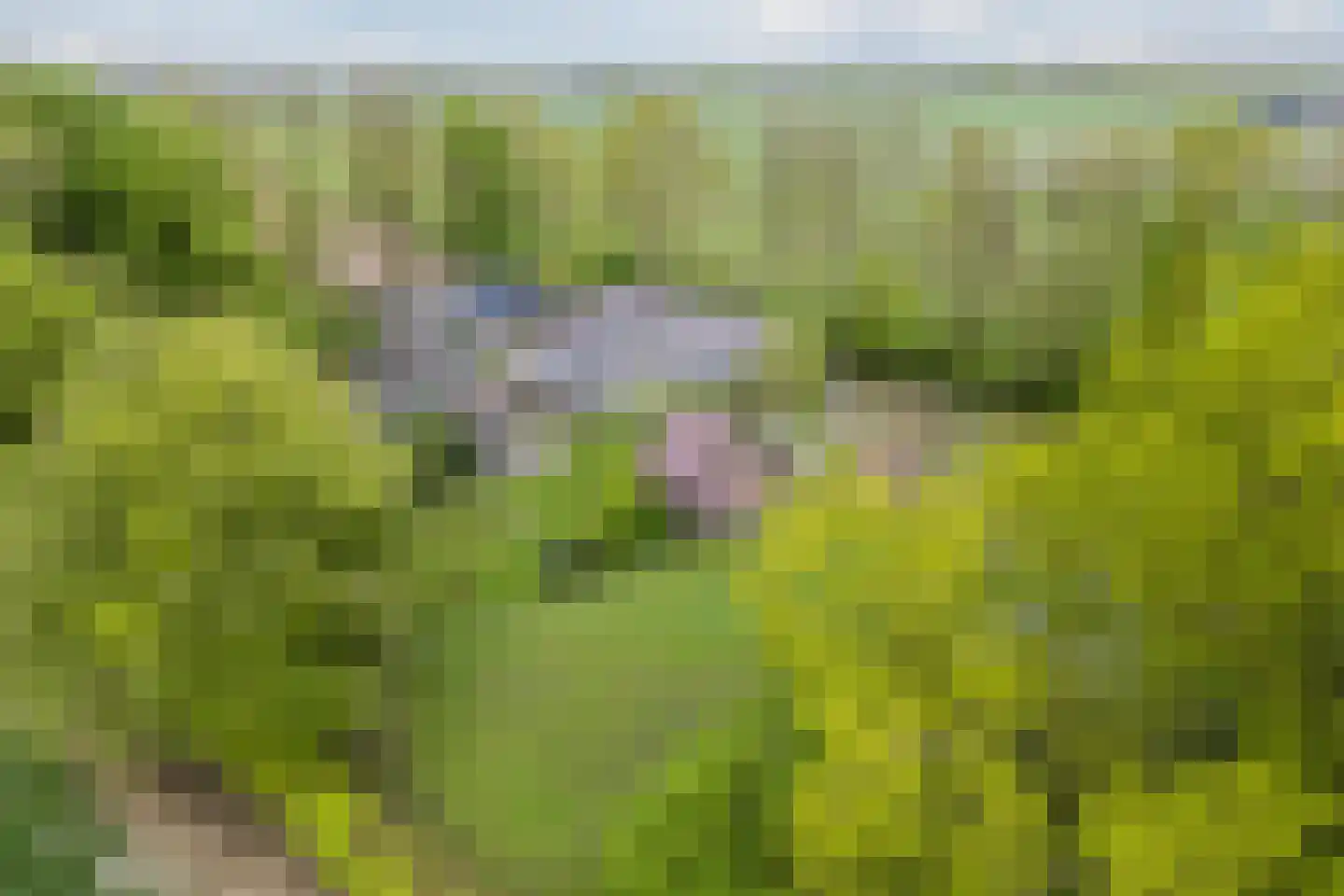 Oosterweg 17 Beerzerveld thumbnail 57