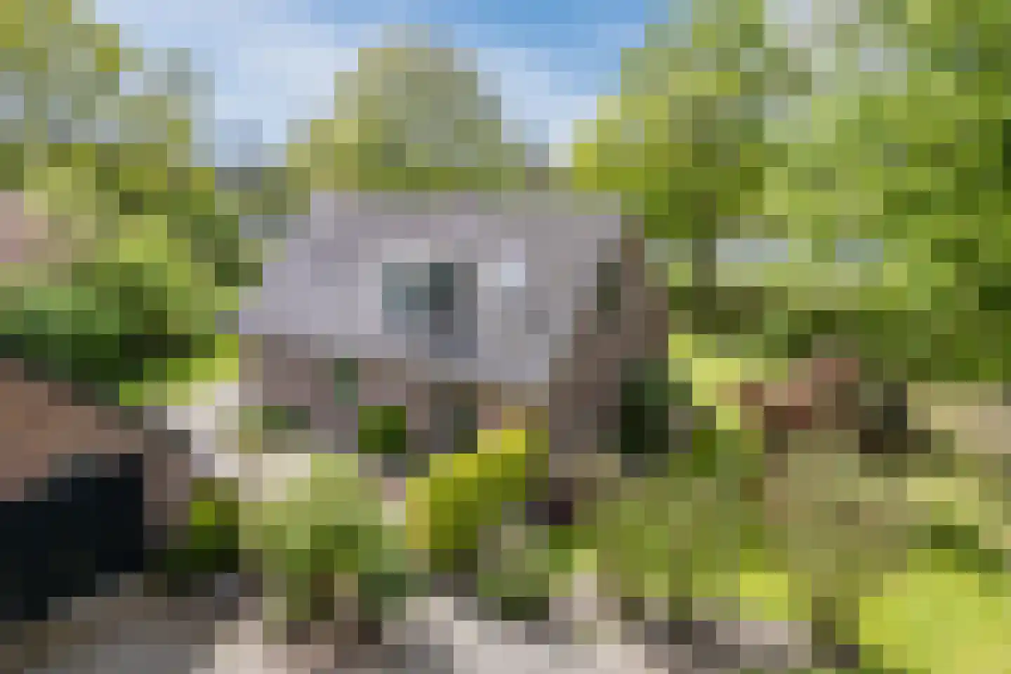 Oosterweg 17 Beerzerveld thumbnail 6