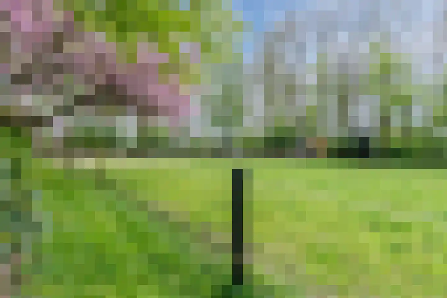 Oosterweg 17 Beerzerveld thumbnail 60