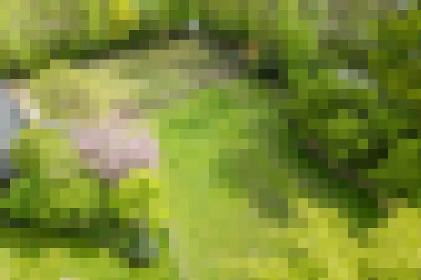 Oosterweg 17 Beerzerveld thumbnail 61