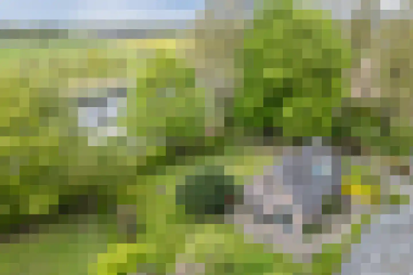 Oosterweg 17 Beerzerveld thumbnail 63