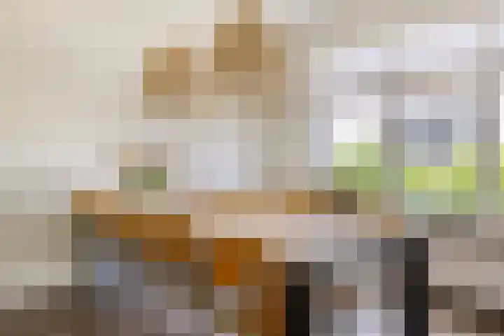Oosterweg 20 Wijchen thumbnail 10