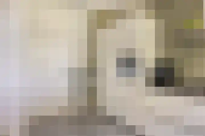 Oosterweg 20 Wijchen thumbnail 12