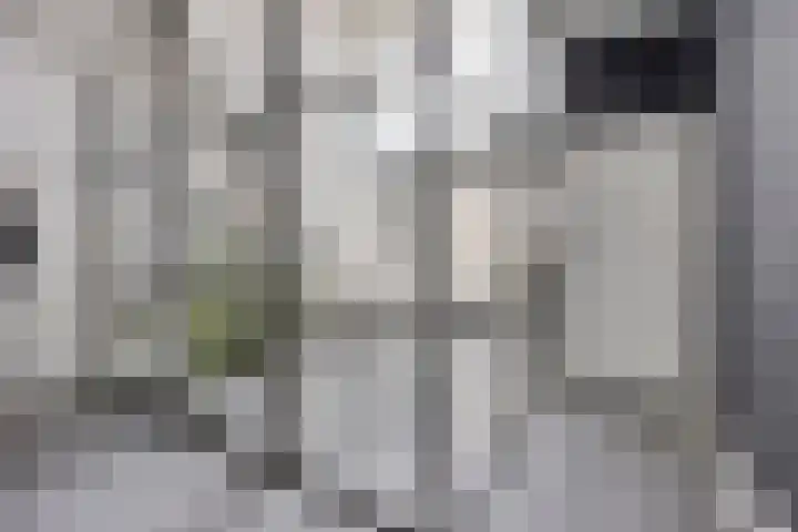 Oosterweg 20 Wijchen thumbnail 15