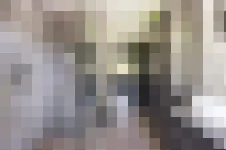 Oosterweg 20 Wijchen thumbnail 32