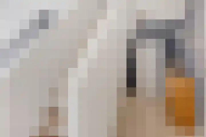 Oosterweg 20 Wijchen thumbnail 33