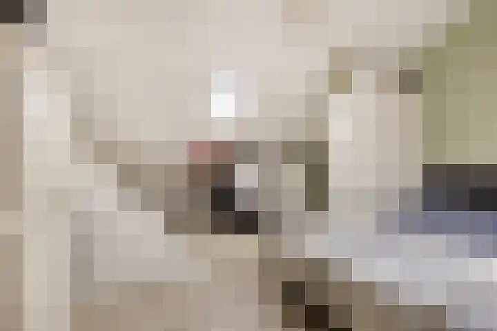 Oosterweg 20 Wijchen thumbnail 36