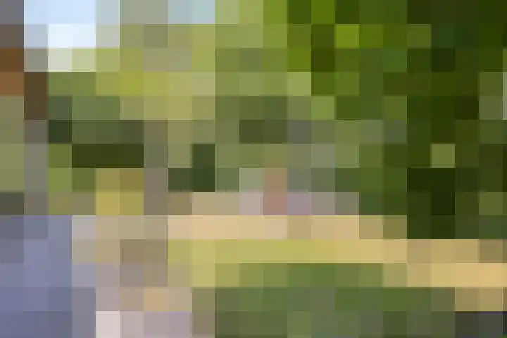 Oosterweg 20 Wijchen thumbnail 43