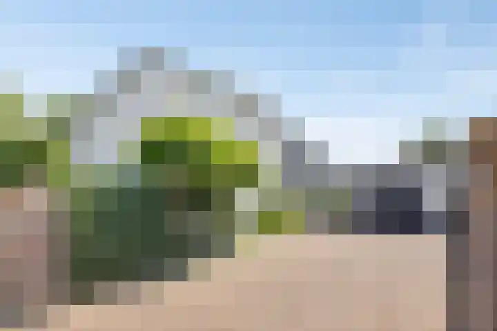 Oosterweg 20 Wijchen thumbnail 47