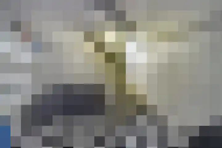 Oosterweg 209 Wijchen thumbnail 33