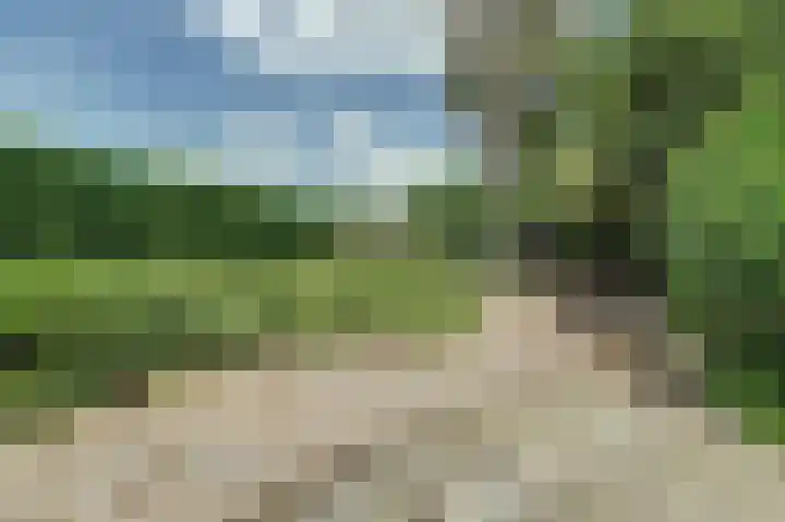 Oosterweg 209 Wijchen thumbnail 48