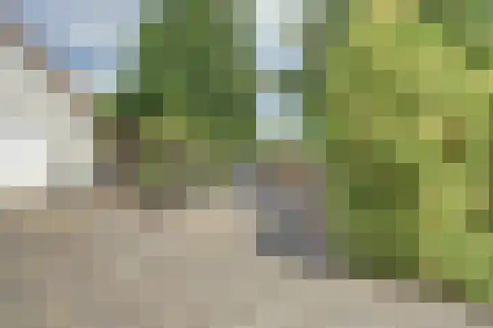 Oosterweg 209 Wijchen thumbnail 51