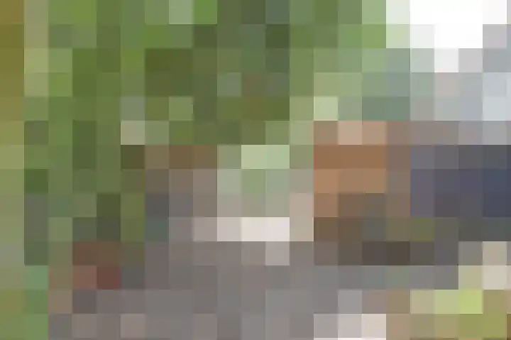 Oosterweg 209 Wijchen thumbnail 57