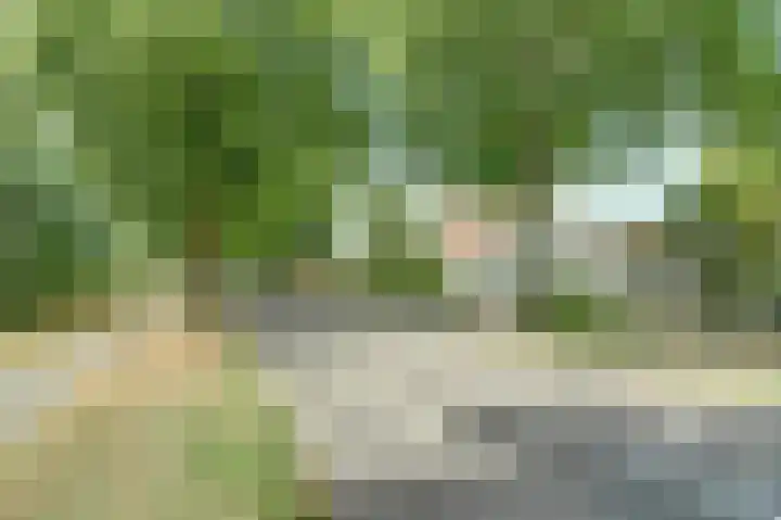 Oosterweg 209 Wijchen thumbnail 58