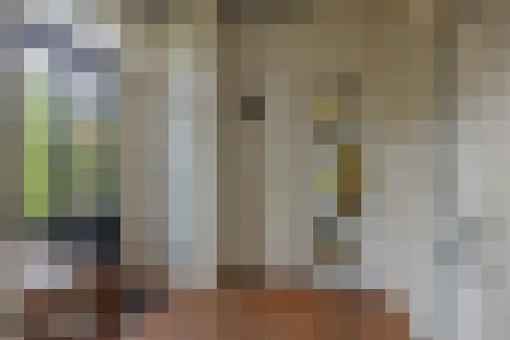 Oosterweg 21 De Wilp thumbnail 10