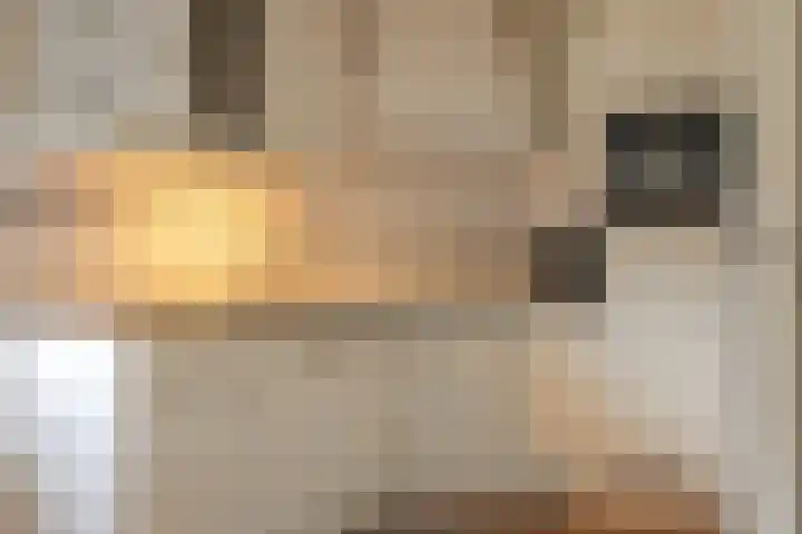 Oosterweg 21 De Wilp thumbnail 15