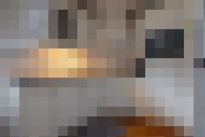 Oosterweg 21 De Wilp thumbnail 16