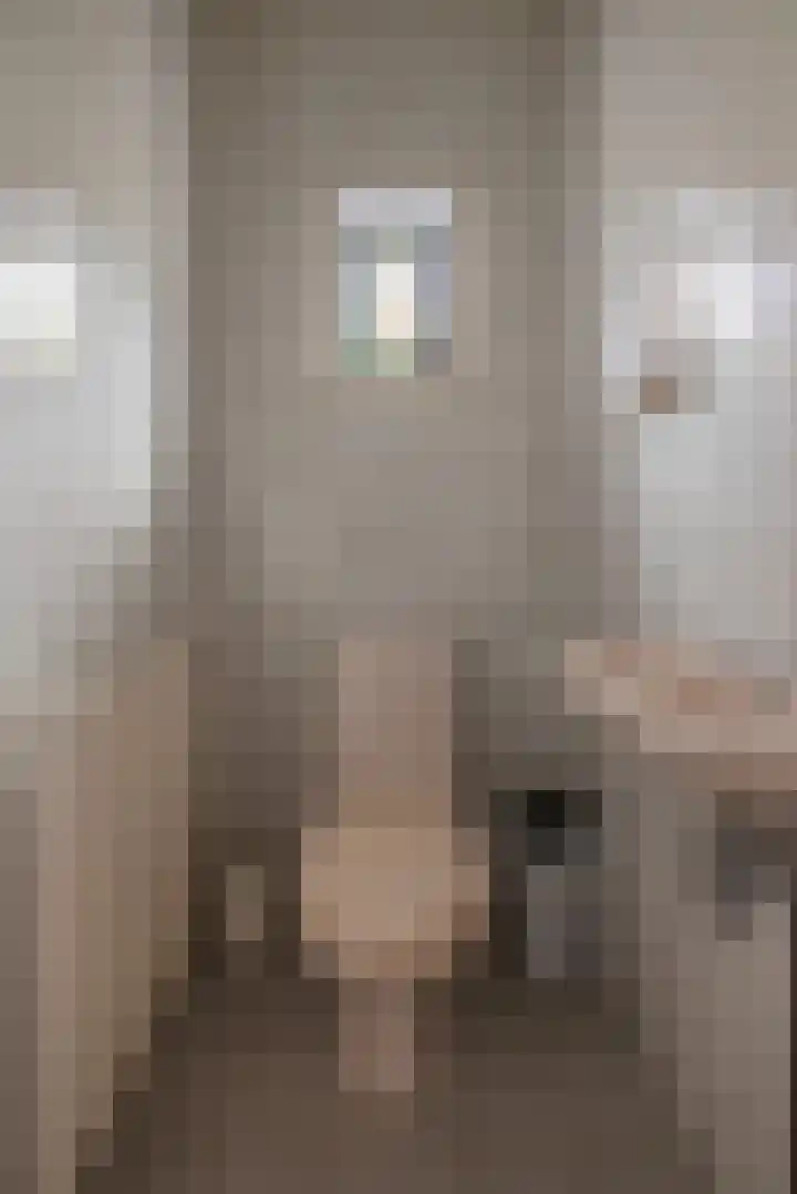 Oosterweg 21 De Wilp thumbnail 21