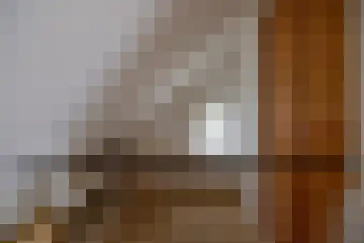 Oosterweg 21 De Wilp thumbnail 28