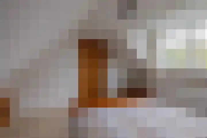 Oosterweg 21 De Wilp thumbnail 33
