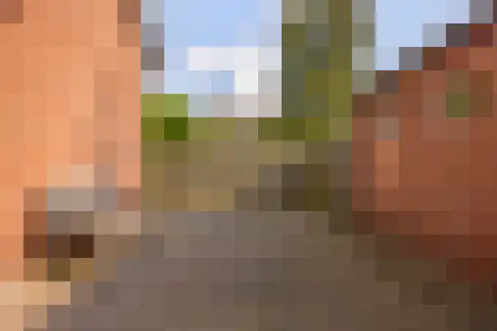 Oosterweg 21 De Wilp thumbnail 37