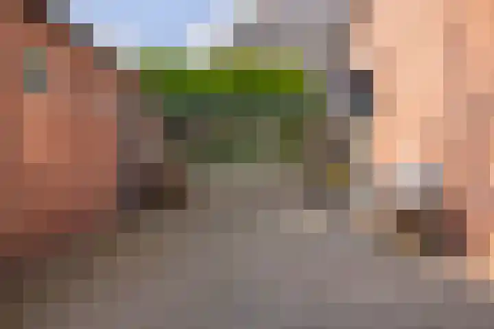 Oosterweg 21 De Wilp thumbnail 38