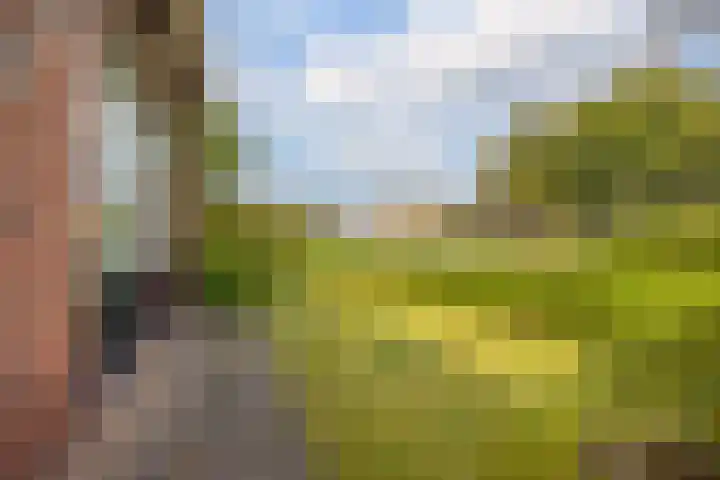 Oosterweg 21 De Wilp thumbnail 40