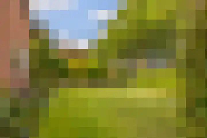Oosterweg 21 De Wilp thumbnail 41